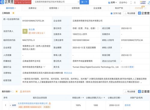 基礎(chǔ)軟件服務(wù) 數(shù)字化轉(zhuǎn)型的堅實基石
